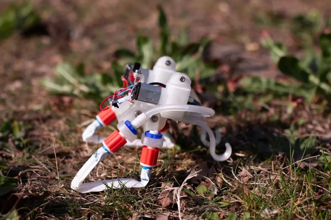 Crean robot blando que se mueve solo con aire y física